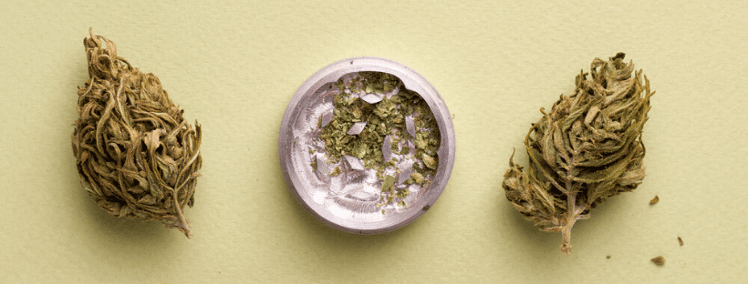 How To Use A Grinder Step-By-Step Guide