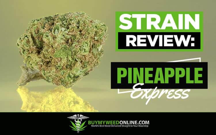 Strain-Review-Pineapple-Express