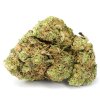 Amnesia Haze strain - Jamaican Sativa