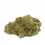 Papaya Punch Image