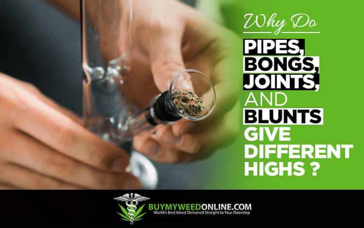 Why Do Pipes, Bongs, Joints, and Blunts Give Different Highs?