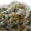 Black Gas - Popeyes Ganja Bags - Image 3