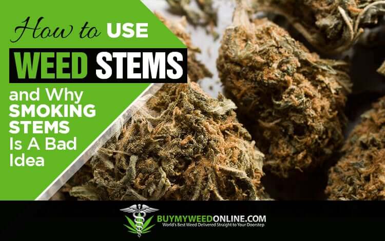 how to use weed stems and why smoking stems is a bad idea