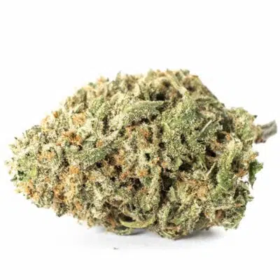 Pineapple Nuken - Balanced Hybrid