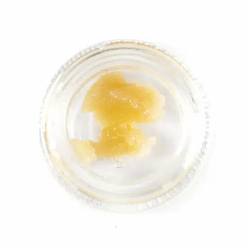 Sorbet Strain for sale