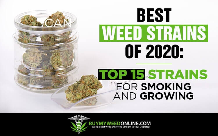 Best-Weed-Strains-of-2020-Top-15-Strains-for-Smoking-and-Growing