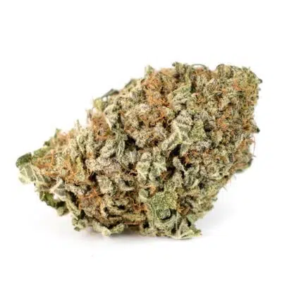 Black Tuna - Balanced Hybrid