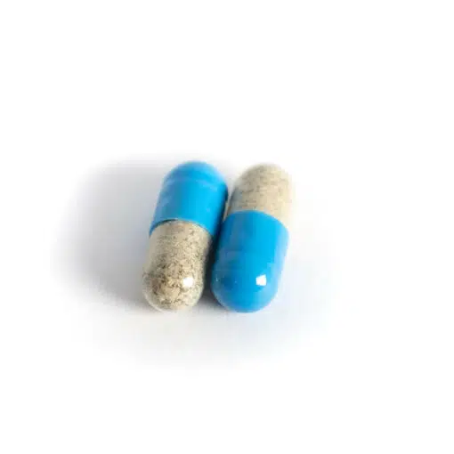 Mycelium Silver Capsules