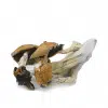 Blue Meanie cannabis strain