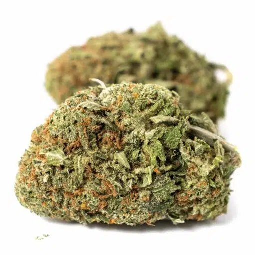Juicy Fruit Marijuana Nug
