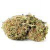 Juicy Fruit - Balanced Hybrid