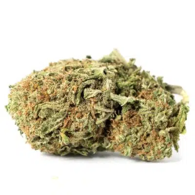 Juicy Fruit - Balanced Hybrid