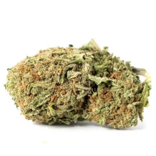 Juicy Fruit - Balanced Hybrid