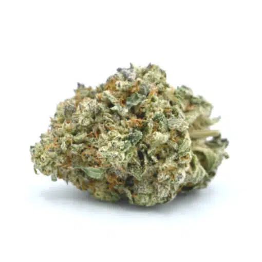 hindu kush strain - Indica Dominant