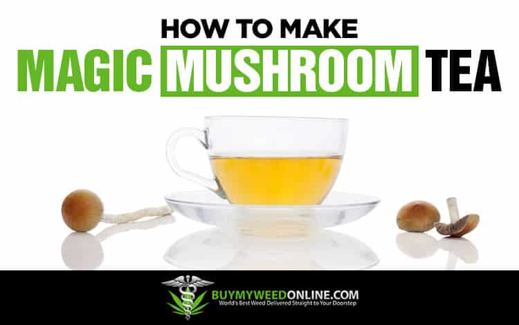 Magic-Mushroom-Tea