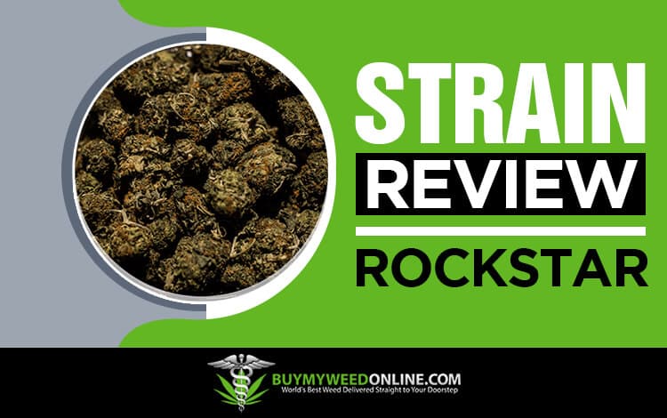 Strain-Review-Rockstar