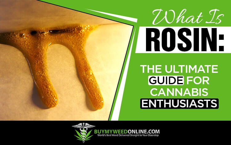 What-is-Rosin-the-ultimate-guide