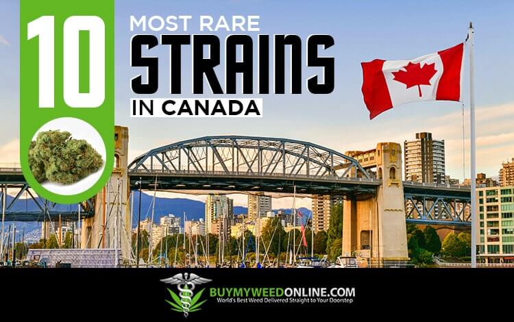 10-Most-Rare-Strains-in-Canada