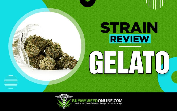 Strain Review: Gelato