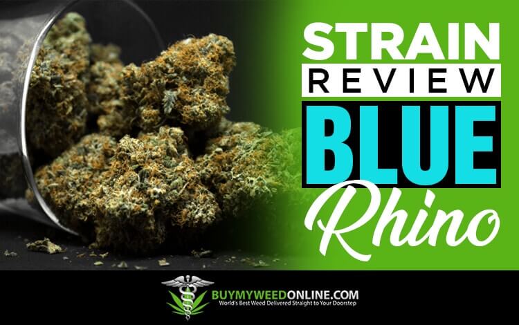 Strain-review-blue-rhino