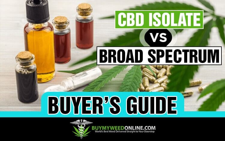 Cbd-isolate-vs-broad-spectrum-buyers-guide