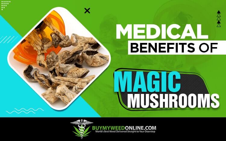 Medical-benefits-of-magic-mushrooms
