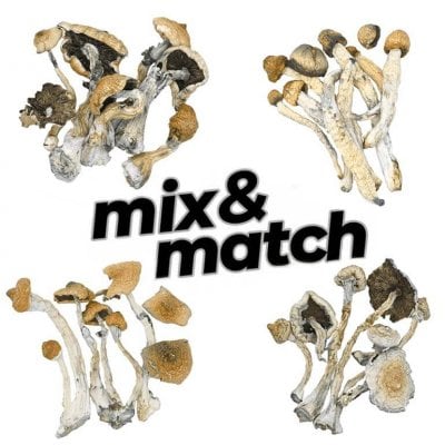 Mix and Match Mushroom 28g