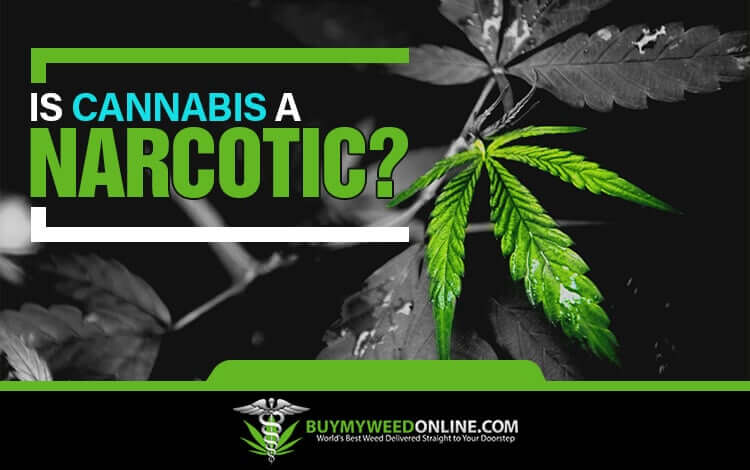 Is-Cannabis-a-Narcotic