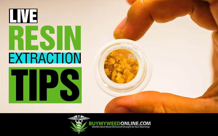 Live-resin-extraction-tips