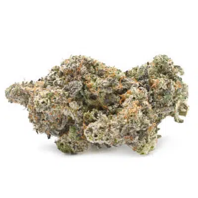 Master Yoda – Mac 1 dispensary