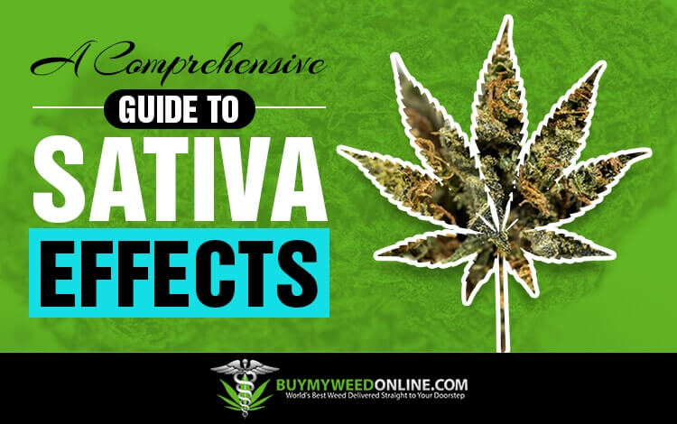 A-Comprehensive-Guide-To-Sativa-Effects