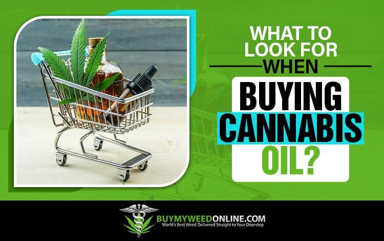 What-to-Look-for-When-Buying-Cannabis-Oil
