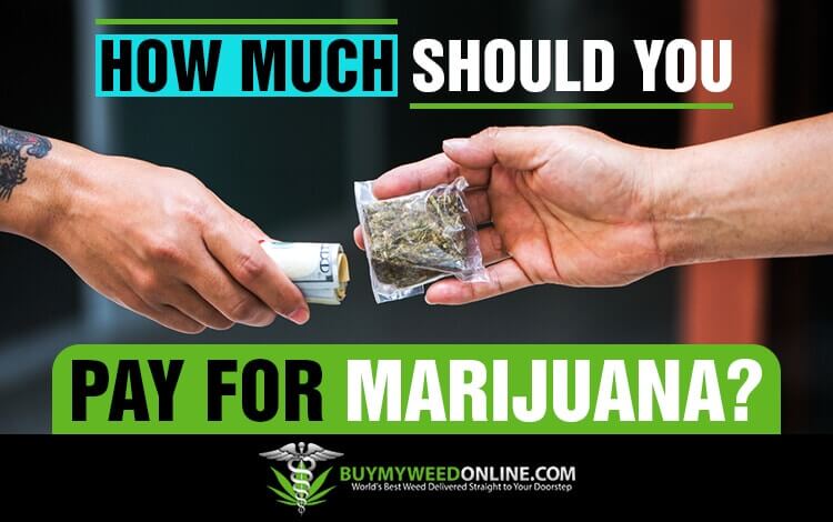 How-Much-Should-You-Pay-for-Marijuana