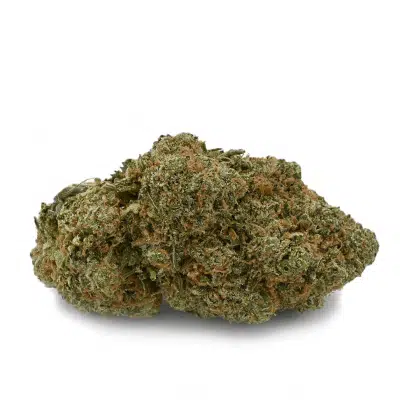 Gelato Cake Strain - Gelato Cake Strain