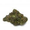 Jokerz13 - Balanced Hybrid strain