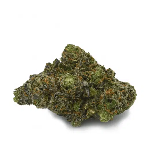Jokerz13 - Balanced Hybrid strain