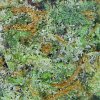 Buy Gelato Pie strain online - top-quality hybrid cannabis