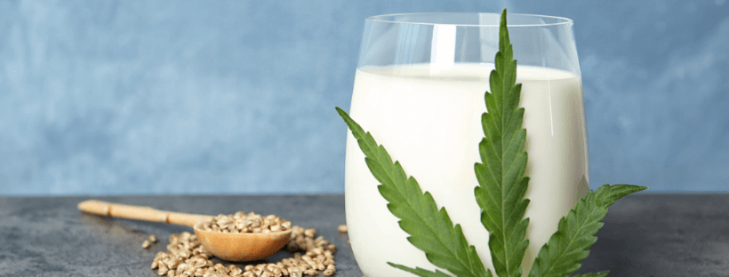 Making Cannabis Milk