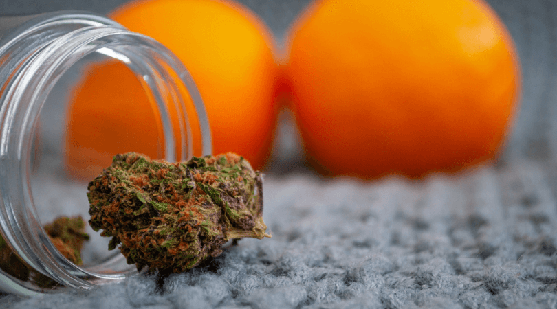 The Effect of Pairing Foods With Cannabis