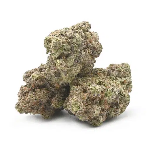Master Yoda - Mac 10 - Image 2