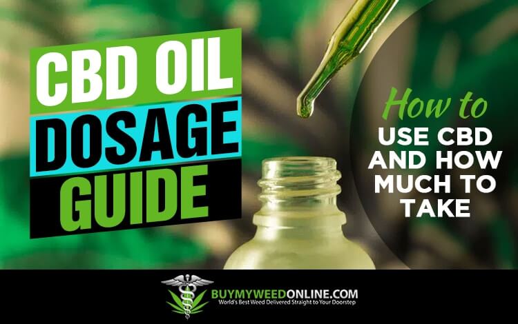 CBD-Oil-Dosage-Guide-How-to-Use-CBD-and-How-Much-to-Take