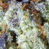 Tom Ford Marijuana - High Quality