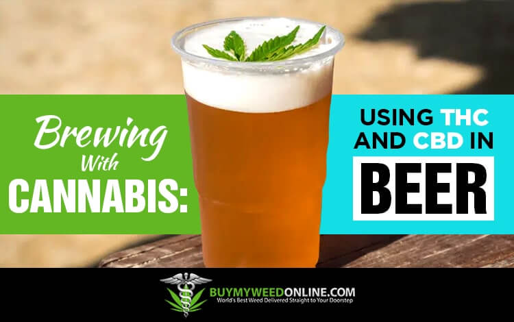 Brewing-With-Cannabis-Using-THC-and-CBD-in-Beer
