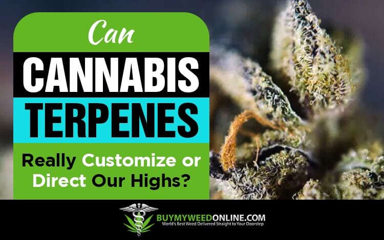 Can-Cannabis-Terpenes-Really-Customize-or-Direct-Our-Highs