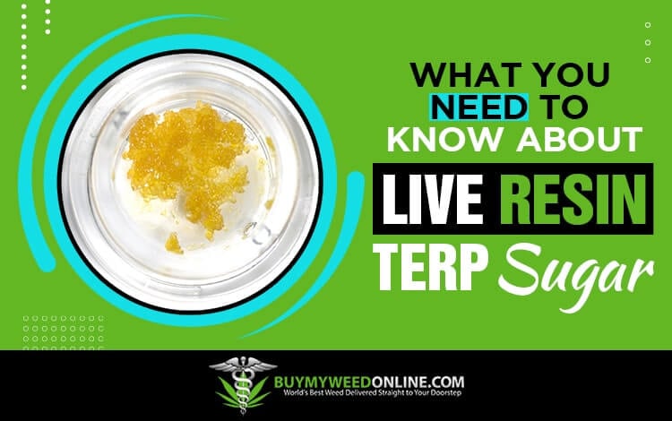 What-You-Need-to-Know-About-Live-Resin-Terp-Sugar