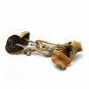 Golden Teacher magic mushrooms
