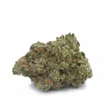 Purple Berry Skunk Image