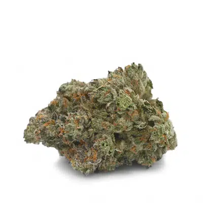 Purple Berry Skunk - Sativa dominant hybrid STRAIN