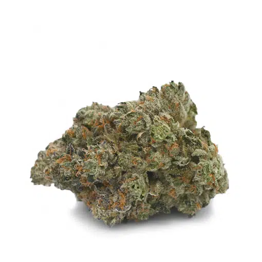 Purple Berry Skunk - Sativa dominant hybrid STRAIN
