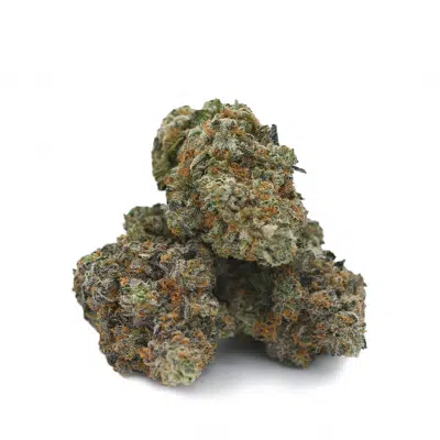 Purple Berry Skunk cannabis strain